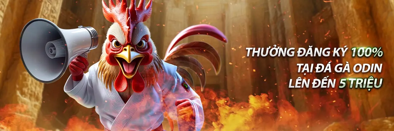 Chương trình VIP 8q bet với các đặc quyền độc quyền