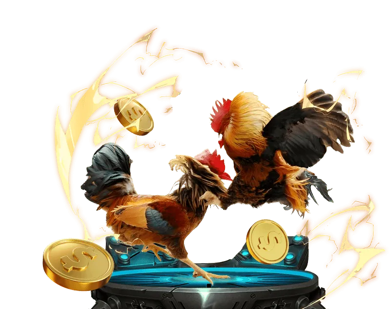 Đá gà cựa sắt tại 8q Bet